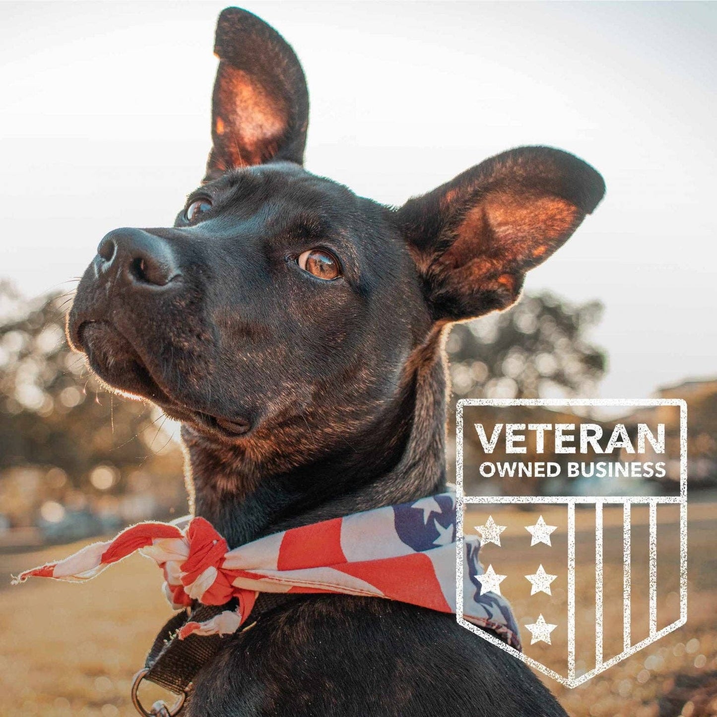 St. Michael's 'Protect Us' Cuban Link Bracelet: Helps Pair Veterans With A Service Dog Or Shelter Dog -Faire